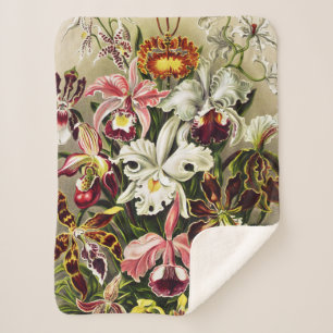 Orchids, Orchideae Denusblumen Ernst Haeckel  Sherpa Blanket