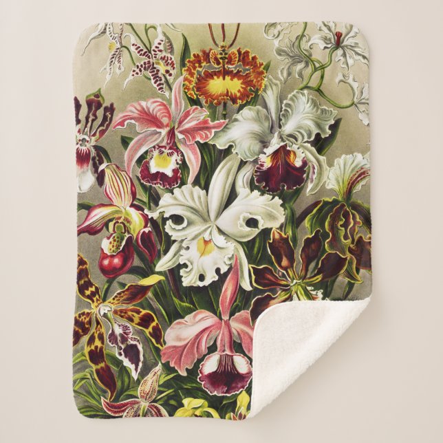 Orchids, Orchideae Denusblumen Ernst Haeckel  Sherpa Blanket (Front)