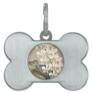 Orchids Pet Tag
