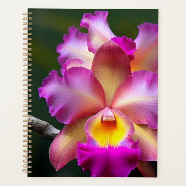 Orchids Planner (Front)