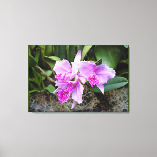 Orchids Portrait Canvas Print