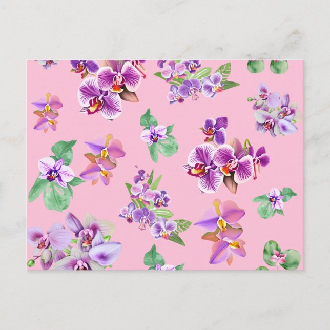 orchids postcard (Front)