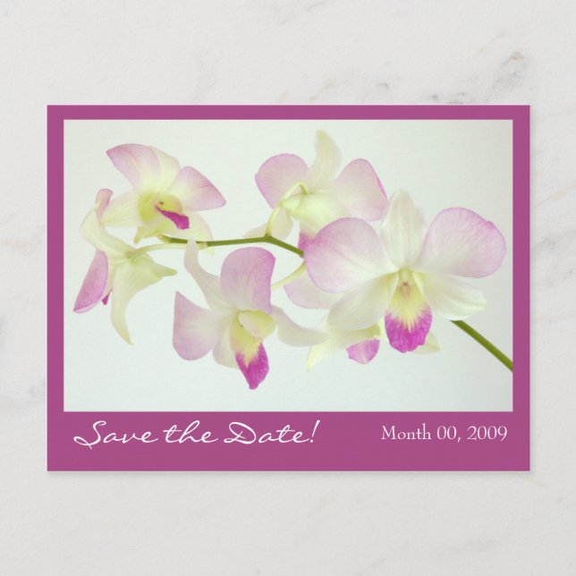 Orchids Postcard, Save the Date! Announcement Postcard (Front)