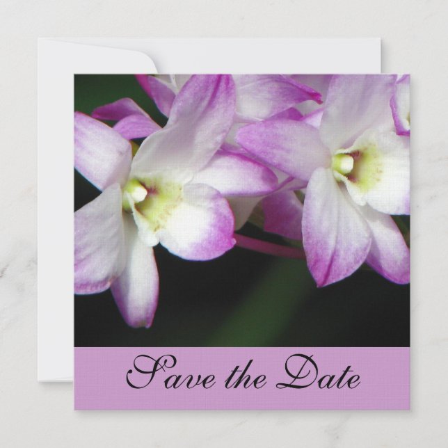 Orchids Save the Date Invitation (Front)