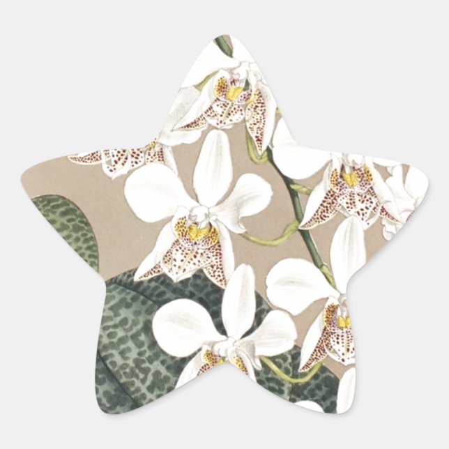 Orchids Star Sticker (Front)