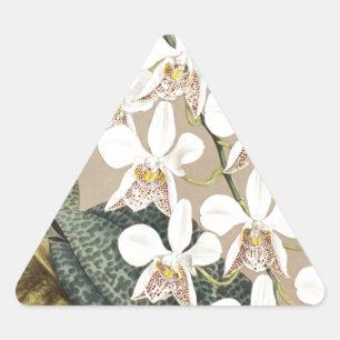 Orchids Triangle Sticker