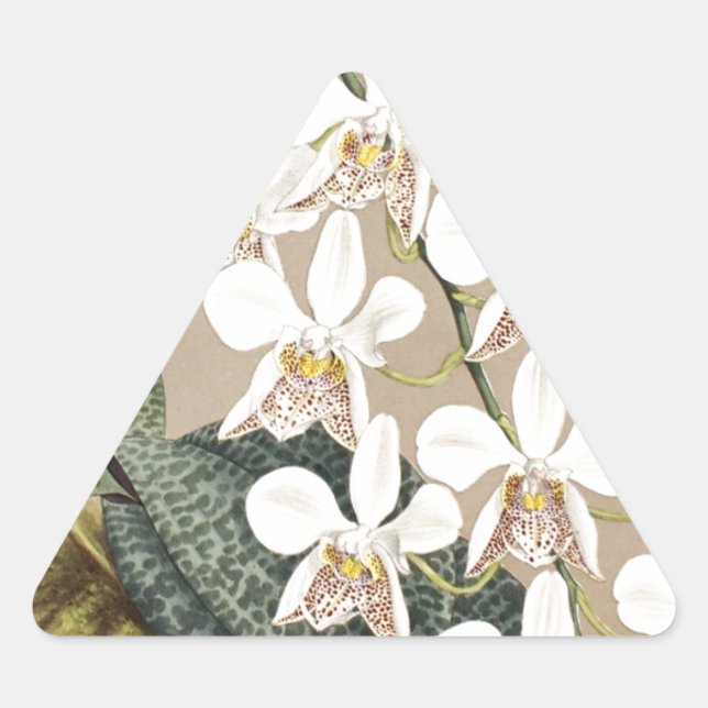 Orchids Triangle Sticker (Front)