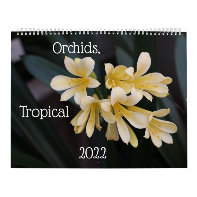 Orchids, Tropical Plants Calendar 2022 (Cover)