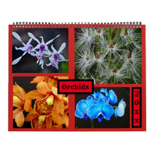 Orchids Wall Calendar