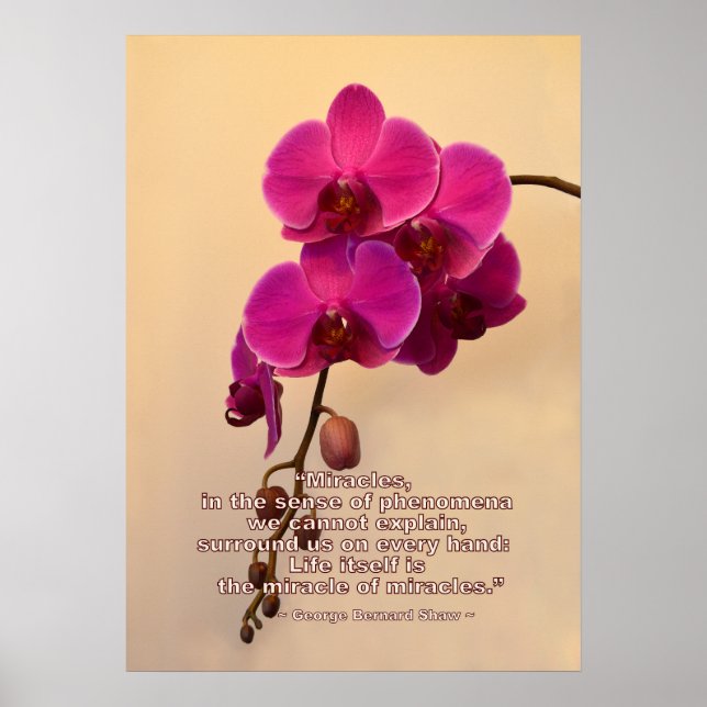 Orchids with Miracle Quote Poster (Front)