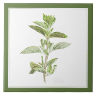 OREGANO FRAIS 6x6 Carreaux en céramique (-texte ve