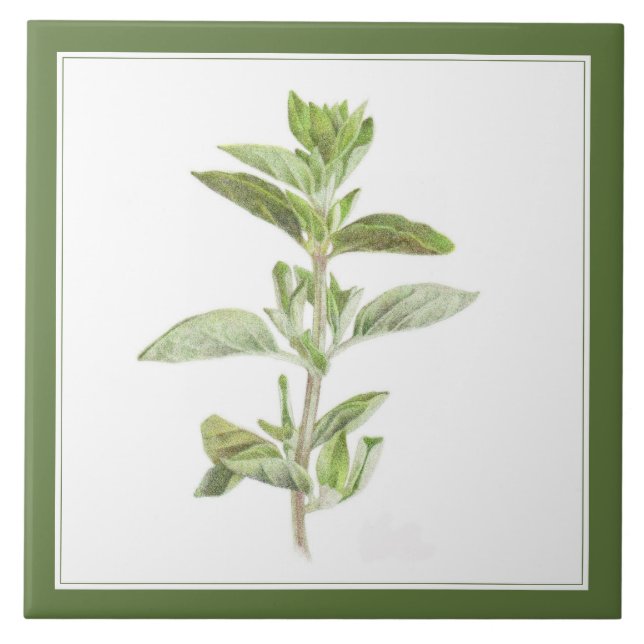 OREGANO FRAIS 6x6 Carreaux en céramique (-texte ve (Devant)