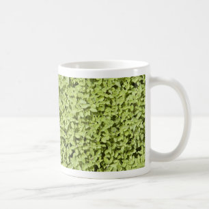 Oregano Mug