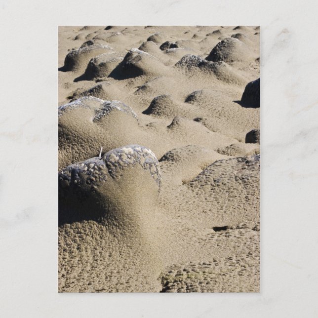 Oregon Beach Postcard (Front)