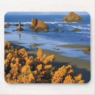 Oregon Beach View In Bandon Mouse Pad