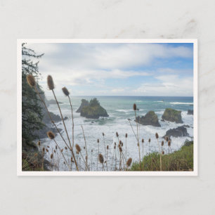 Oregon Coast Arch Rock State Park Brookings Beach Postcard