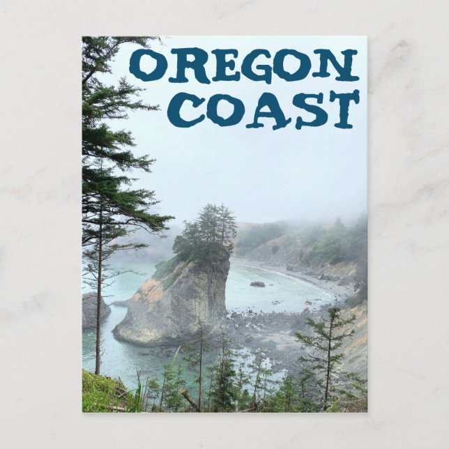 Oregon Coast Boardman Foggy Scenic Overlook Postcard (Front)