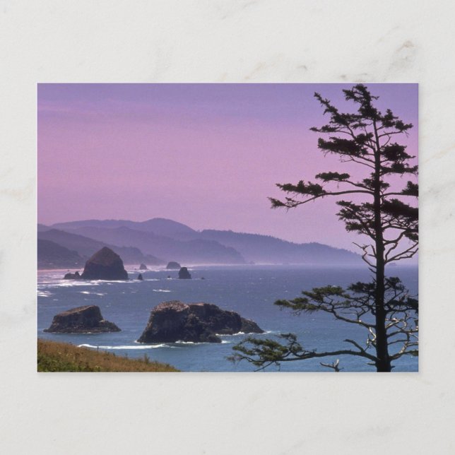Oregon coast, Ecola State Park, Oregon Postcard (Front)