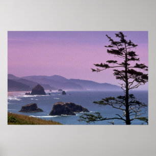 Oregon coast, Ecola State Park, Oregon Poster