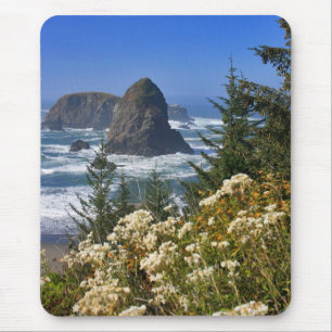 Oregon Coast Mouse Pad