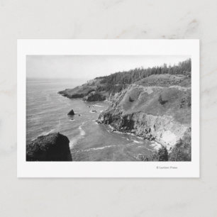 Oregon Coast North from Look Out Cape Fowlweathe Postcard