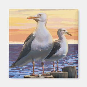 Oregon Coast Sea Gulls Magnet