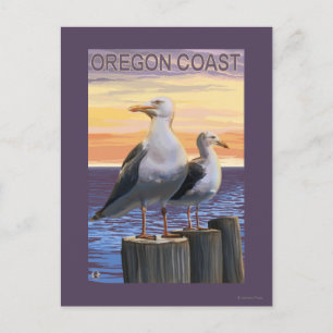 Oregon Coast Sea Gulls Postcard