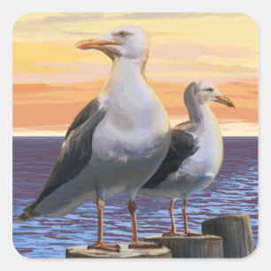 Oregon Coast Sea Gulls Square Sticker