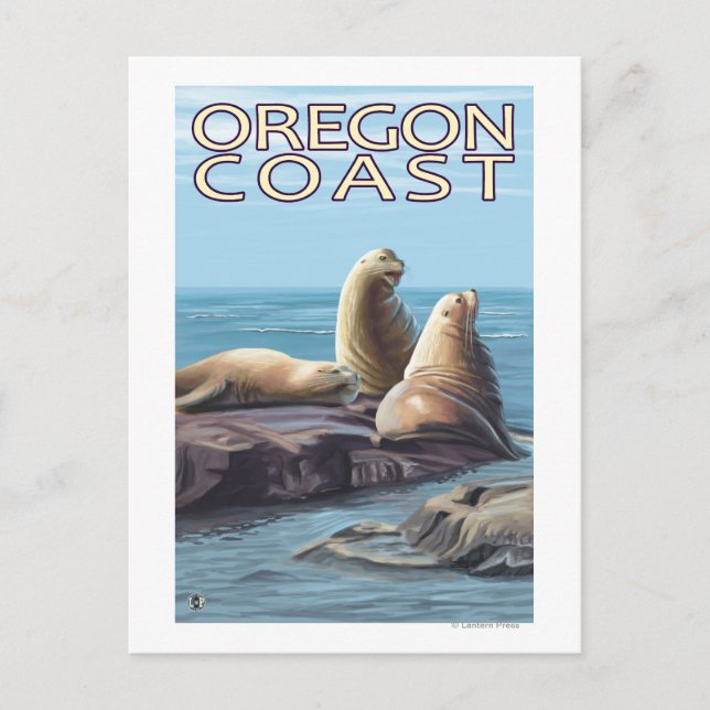 Oregon Coast Sea Lions Postcard (Front)