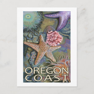 Oregon Coast Tidepool Postcard