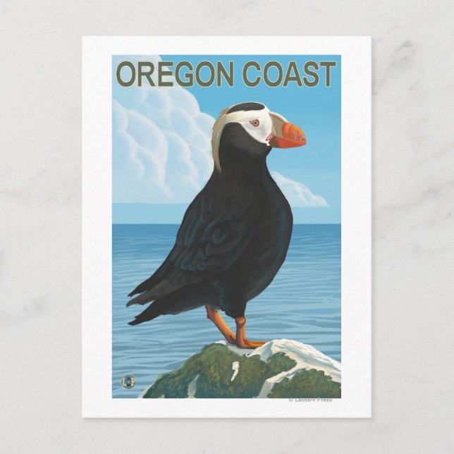 Oregon Coast Tufted Puffin Postcard (Front)
