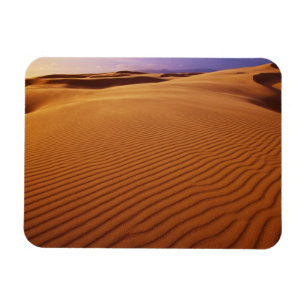 Oregon Dunes National Recreation Area, Oregon at Magnet