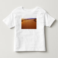 Oregon Dunes National Recreation Area, Oregon at