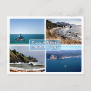 Oregon - Ecola State Park Forset - Postcard