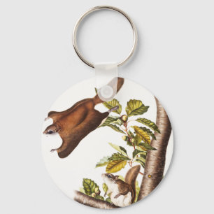 Oregon Flying Squirrel (Pteromys Origonensis) Keychain