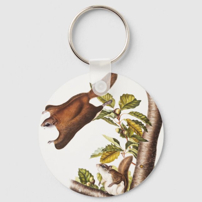 Oregon Flying Squirrel (Pteromys Origonensis)  Keychain (Front)