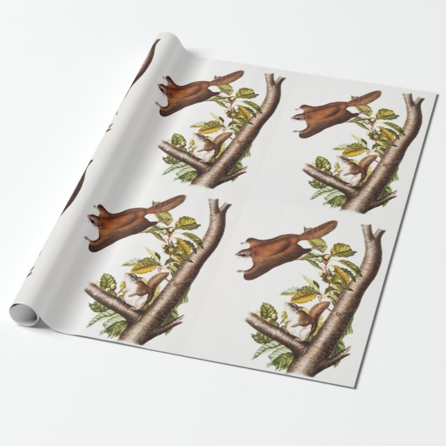 Oregon Flying Squirrel (Pteromys Origonensis) Wrapping Paper (Unrolled)