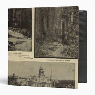Oregon forest giant pines plaza, Salem, Oregon Binder