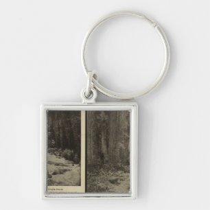 Oregon forest giant pines plaza, Salem, Oregon Keychain