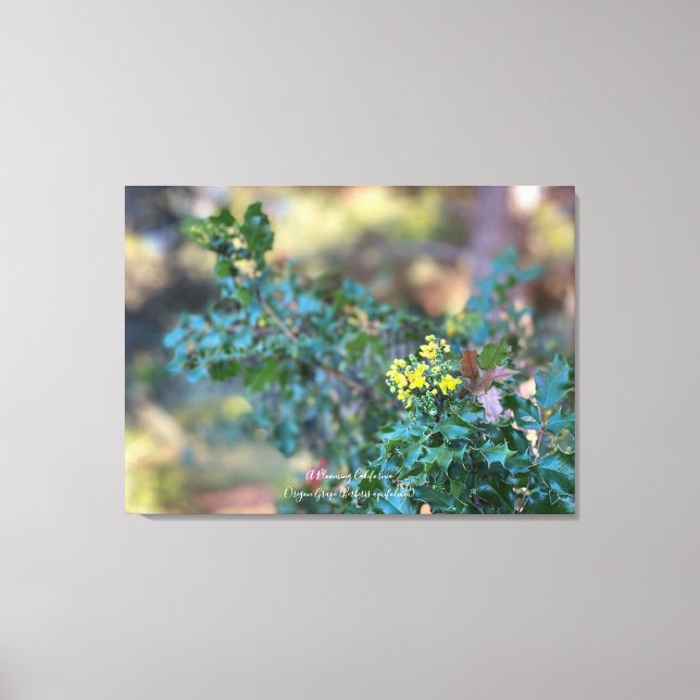 Oregon Grape Canvas Print (Front)