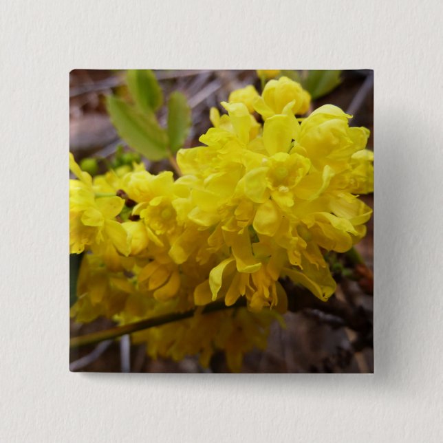 Oregon Grape Flowers Yellow Wildflowers 2 Inch Square Button (Front)