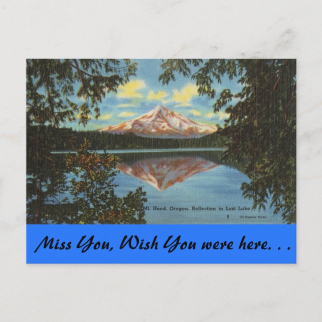 Oregon, Mt. Hood, Lost Lake Postcard (Front)