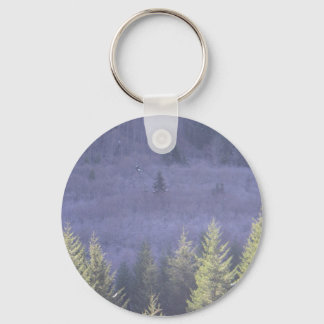Oregon Senic Highway Keychain