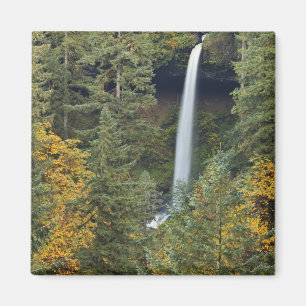 Oregon, Silver Falls State Park, North Falls Magnet