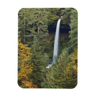 Oregon, Silver Falls State Park, North Falls Magnet
