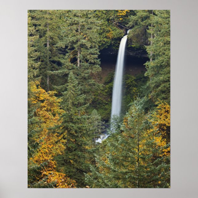 Oregon, Silver Falls State Park, North Falls Poster (Front)