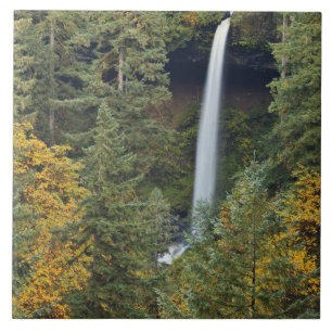 Oregon, Silver Falls State Park, North Falls Tile