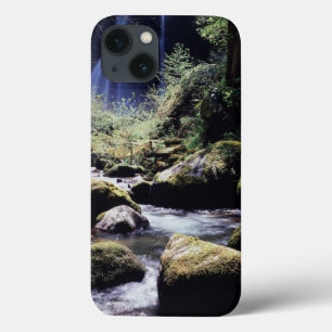 Oregon, Siskiyou National Forest, Elk Creek iPhone 13 Case