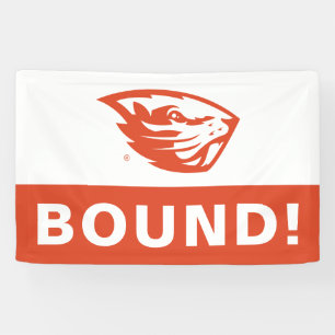 Oregon State Beavers   Beaver Head Banner