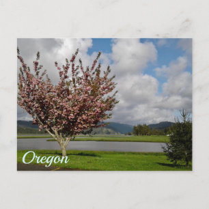 Oregon State Postcard